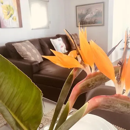 Casa Do Manuel Maria Estreito Da Calheta